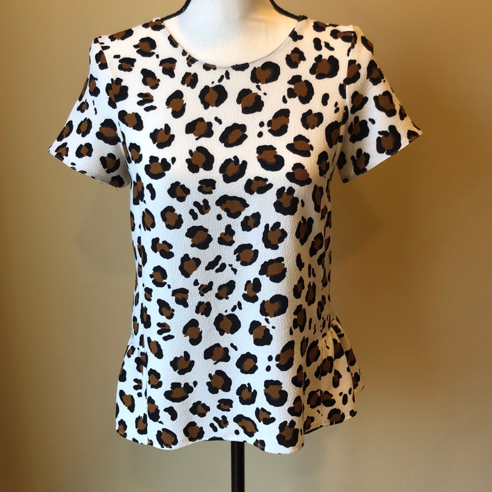 Zara Top